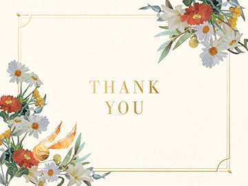Set of 30 Harry Potter Magical World thank you boxed cards by Insight Editions, featuring wizard-themed designs and illustrations.