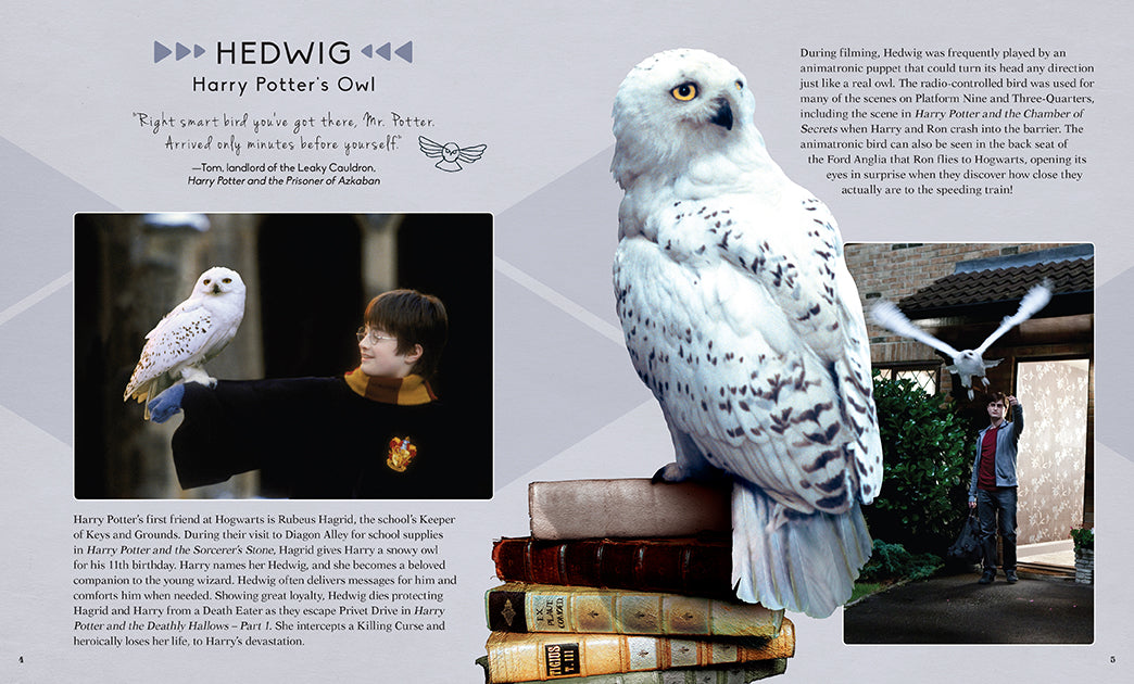 Harry Potter Hedwig 3D wood model and book kit by Insight Editions, featuring a detailed owl figure and accompanying reading material.