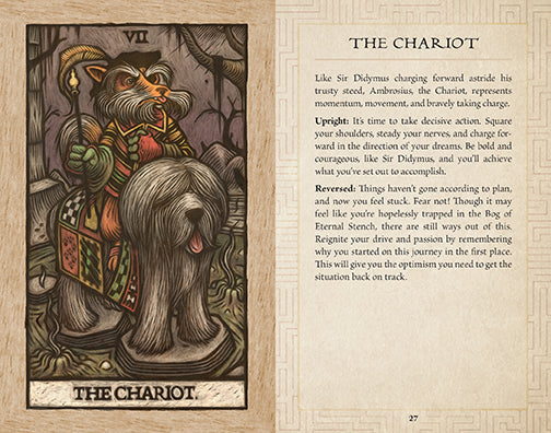 Labyrinth Tarot Deck and Guidebook kit by Insight Editions featuring illustrated tarot cards and instructional guide.