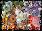 Insight Editions Mushroom Medley jigsaw puzzle kit featuring colorful mushroom illustrations on a flat surface.