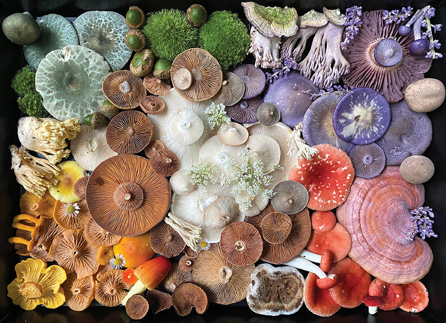 Insight Editions Mushroom Medley jigsaw puzzle kit featuring colorful mushroom illustrations on a flat surface.