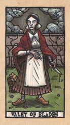 Inside view of the Tarot del Toro kit by Insight Editions, featuring colorful tarot cards and themed artwork.