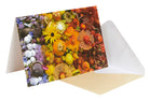 Set of Flowers and Fungi boxed note cards by Insight Editions, featuring botanical and fungi illustrations for stationery use.
