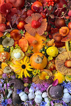 Set of flowers and fungi themed boxed note cards by Insight Editions, featuring botanical illustrations for stationery gift.