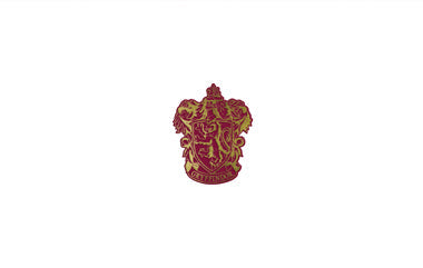 Set of 10 Harry Potter Gryffindor foil note cards by Insight Editions, featuring magical Hogwarts-themed stationery for gifts or writing.