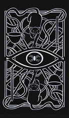 Christina Ricci's Cat Full of Spiders Tarot Deck and Guidebook kit, softbound edition, featuring artistic tarot cards and guidebook pages.