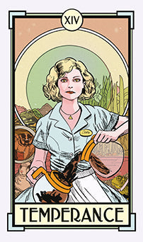 Insight Editions Christina Ricci's Cat Full of Spiders Tarot Deck and softbound guidebook, featuring detailed artwork and mystical symbols.