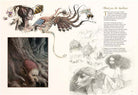 Limited edition Brian Froud's World of Faerie book by Insight Editions featuring fantasy artwork and detailed illustrations.