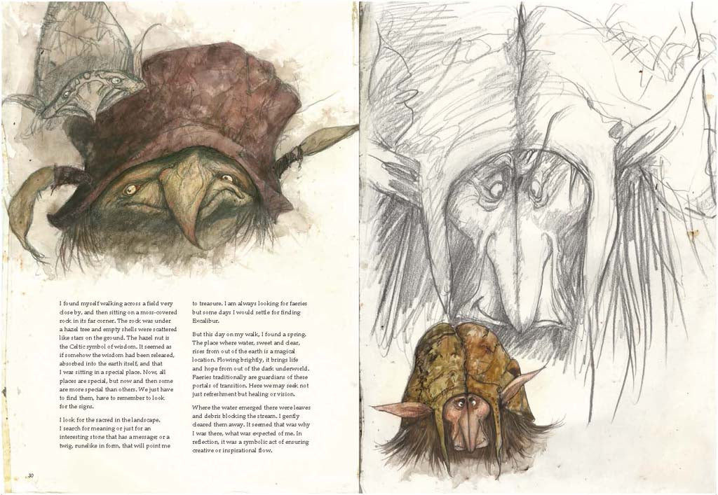 Limited edition Brian Froud's World of Faerie book by Insight Editions featuring detailed fantasy artwork and enchanting illustrations.