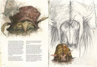 Limited edition Brian Froud's World of Faerie book by Insight Editions featuring detailed fantasy artwork and enchanting illustrations.