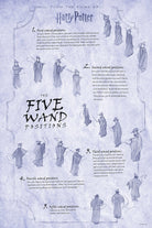 Interior view of the limited edition Harry Potter: The Wand Collection by Insight Editions, showcasing detailed wand replicas and packaging.