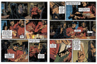 Softcover book titled "After Houdini" by Insight Editions, featuring a cover with Houdini-themed artwork.