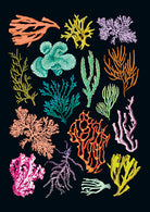 Set of 3 softcover Art of Nature Under the Sea sewn notebooks by Insight Editions featuring ocean-themed covers.