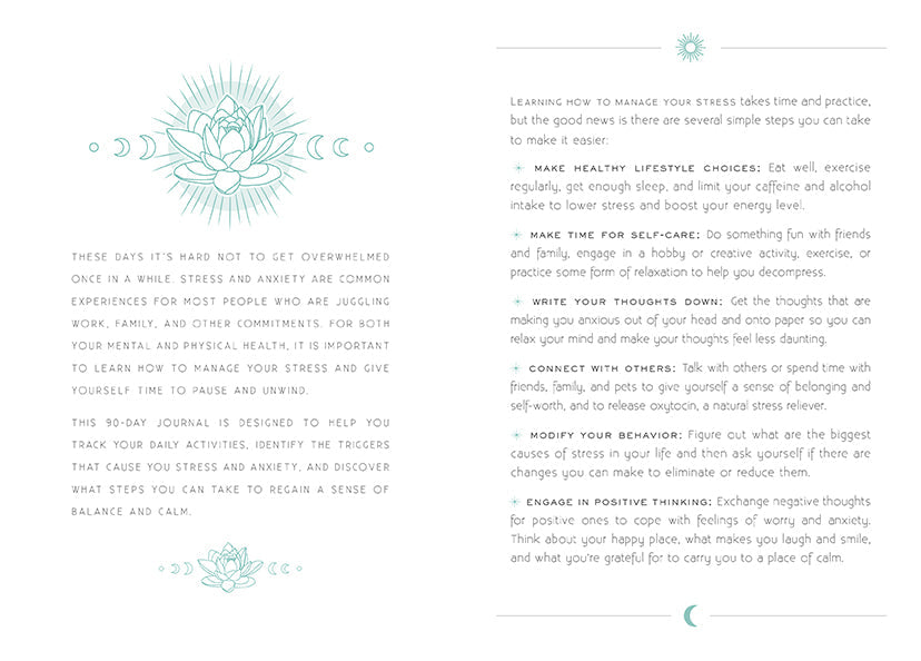 Softcover book titled "Calm" by Insight Editions, featuring a peaceful design on the cover.