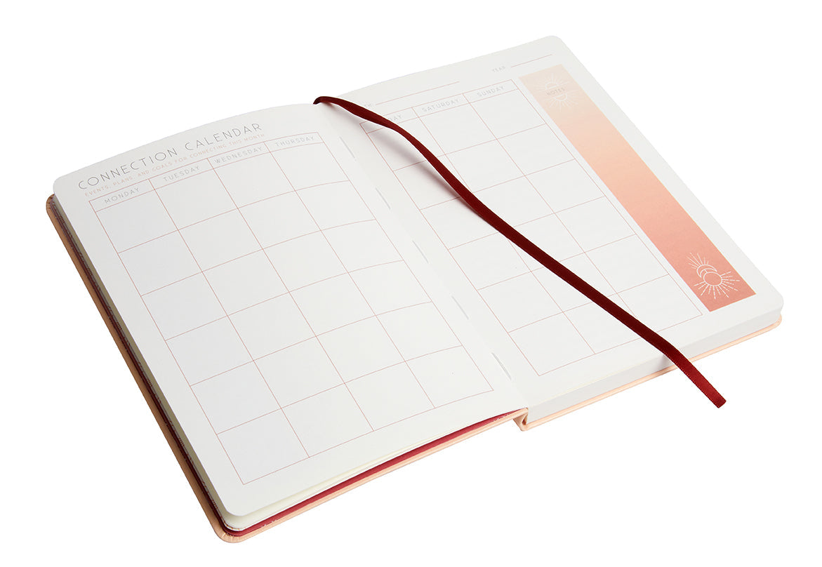 Insight Editions Connection softcover book with colorful abstract cover design, featuring the title "Connection" in bold lettering.