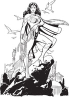 Softcover Wonder Woman coloring book by Insight Editions featuring DC Comics superhero Wonder Woman on the cover.