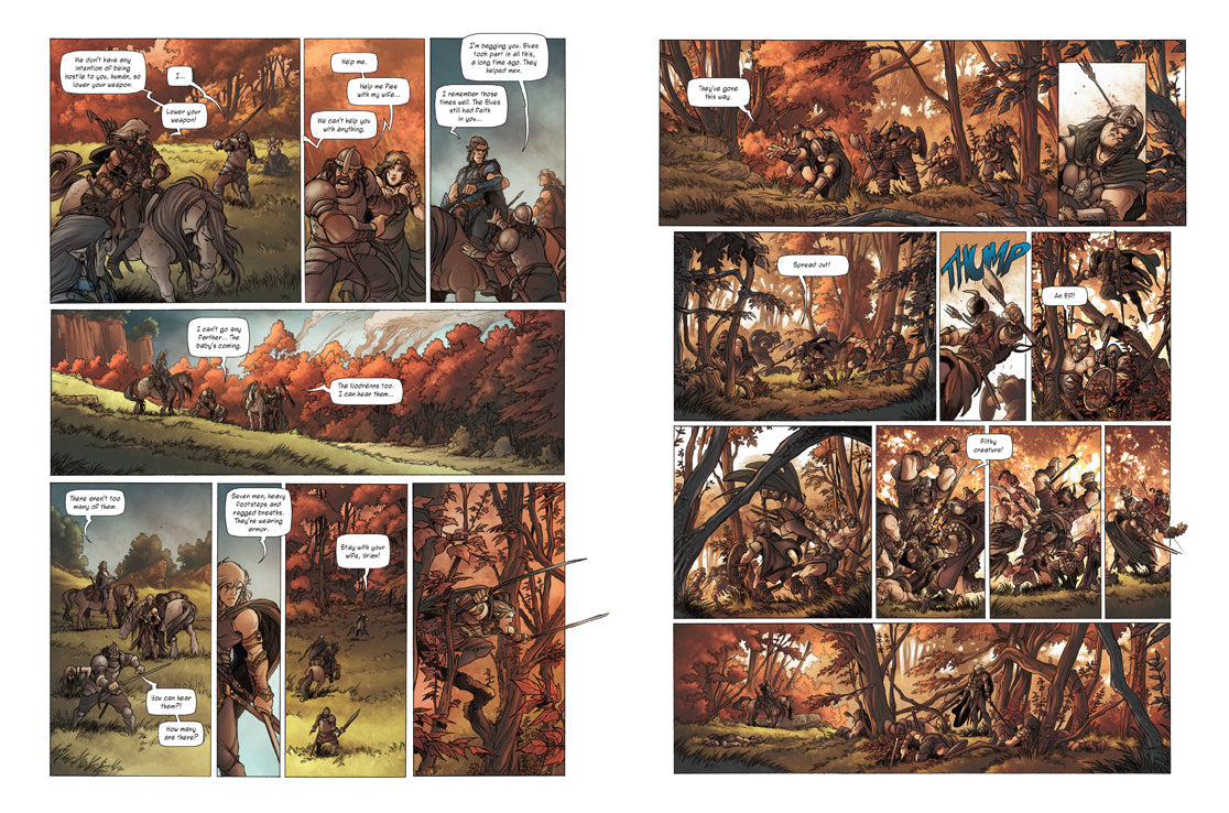 Softcover edition of "Elves, Vol. 2" by Insight Editions, featuring detailed illustrations of elves on the cover.
