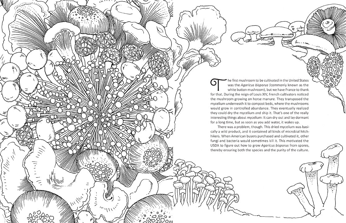 Softcover coloring book titled "Fantastic Fungi" by Insight Editions featuring vibrant mushroom and fungi illustrations.