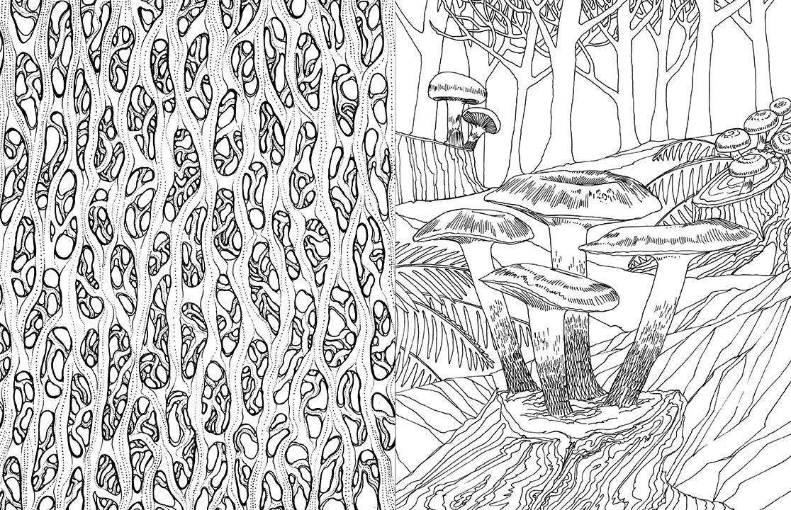 Softcover coloring book titled "Fantastic Fungi" by Insight Editions featuring vibrant mushroom and fungi illustrations.