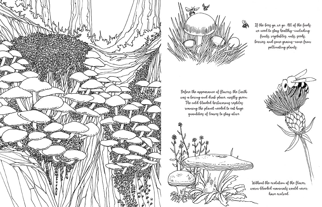 Softcover coloring book titled "Fantastic Fungi" by Insight Editions, featuring detailed mushroom and fungi illustrations.
