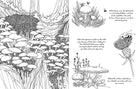 Softcover coloring book titled "Fantastic Fungi" by Insight Editions, featuring detailed mushroom and fungi illustrations.
