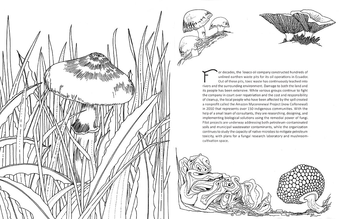 Softcover "Fantastic Fungi" coloring book by Insight Editions featuring detailed mushroom illustrations for coloring.