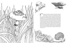 Softcover "Fantastic Fungi" coloring book by Insight Editions featuring detailed mushroom illustrations for coloring.