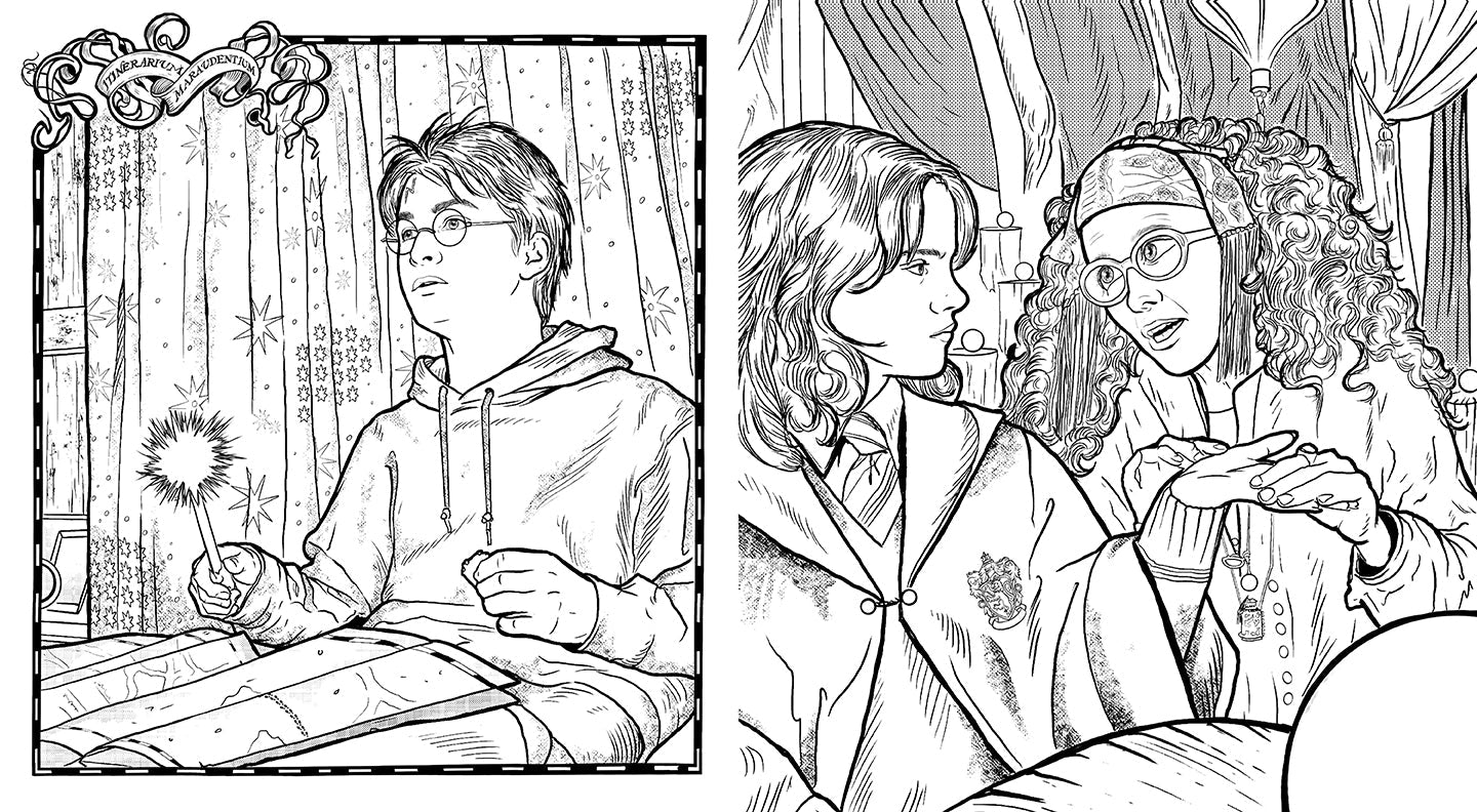 Softcover Harry Potter coloring book by Insight Editions featuring magical wizard illustrations for coloring.