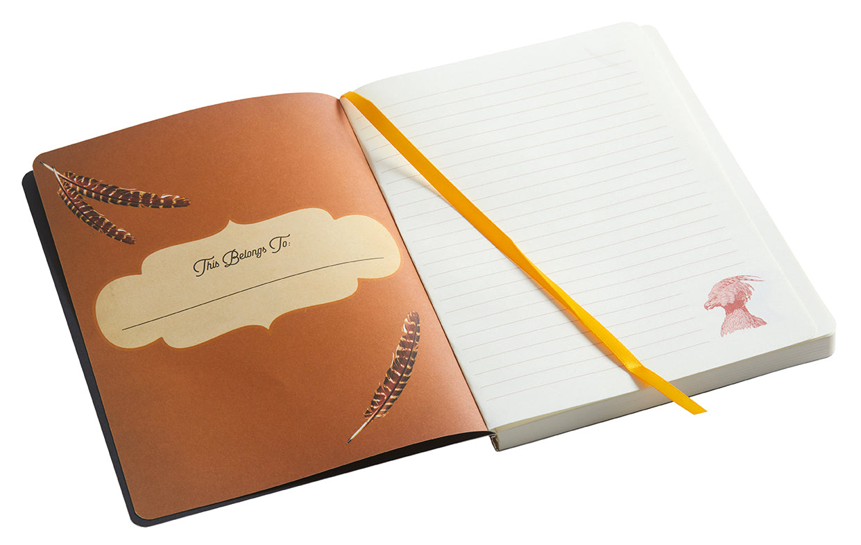 Harry Potter Fawkes softcover notebook by Insight Editions, featuring a colorful cover design with the phoenix Fawkes from Harry Potter.