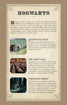 Harry Potter Hogwarts ruled notebook by Insight Editions, softcover with magical Hogwarts-themed cover design.