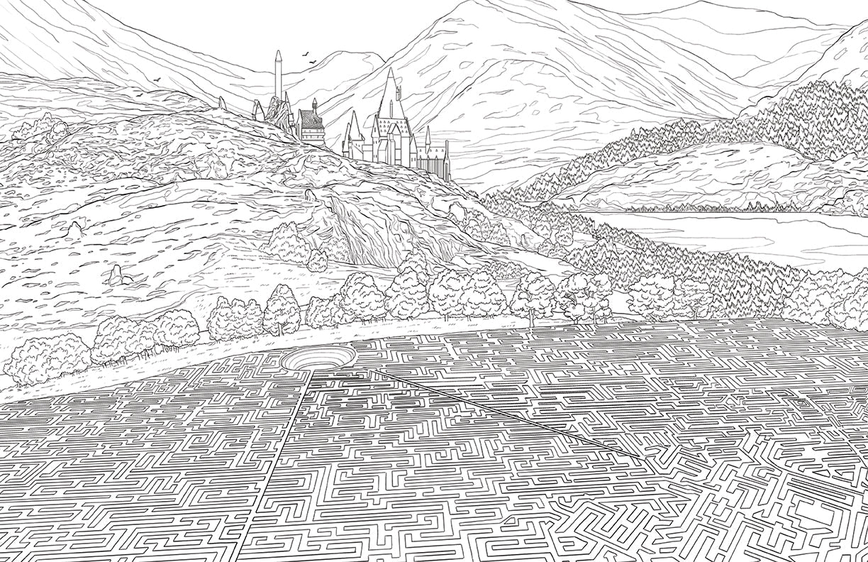 Open coloring book page from Harry Potter Hufflepuff House Pride softcover by Insight Editions, featuring magical house symbols.