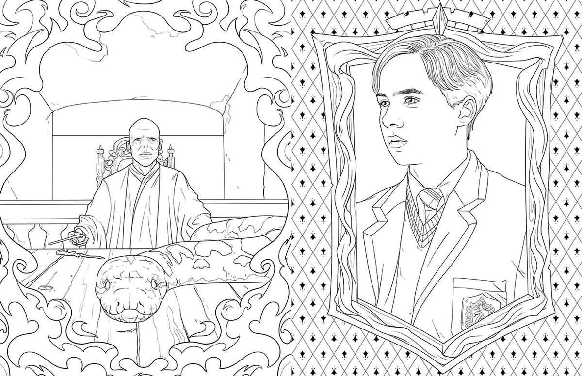 Interior of the Harry Potter Slytherin House Pride coloring book by Insight Editions, featuring detailed black-and-white house-themed illustrations.