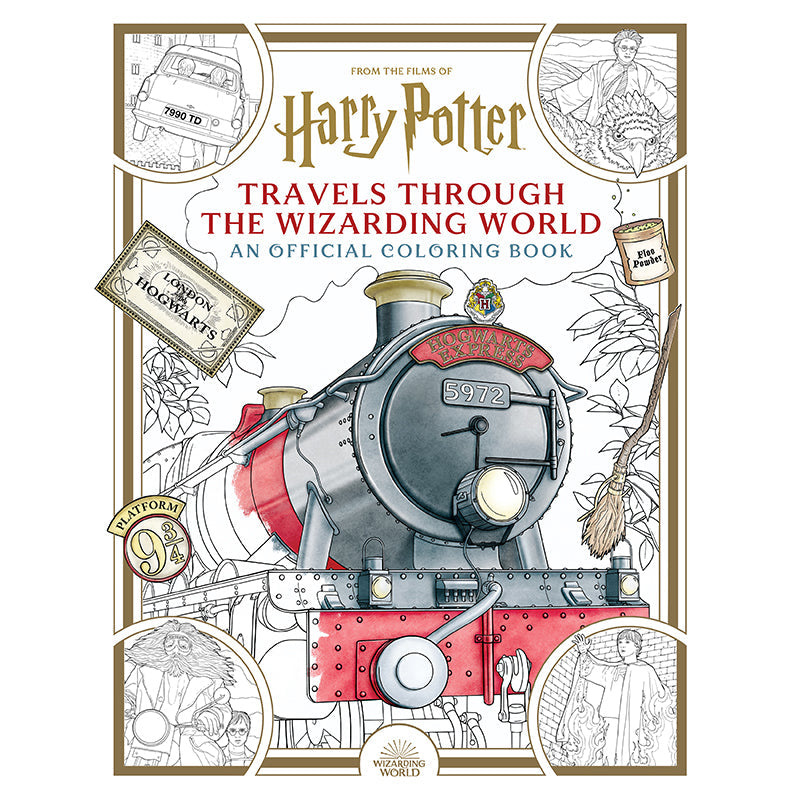 Softcover copy of Harry Potter: Travels Through the Wizarding World by Insight Editions showing the book cover and title.