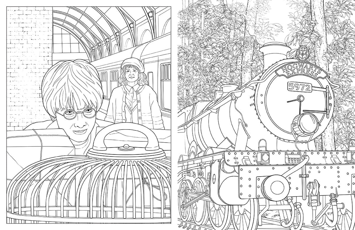 Interior page of Harry Potter: Travels Through the Wizarding World softcover book by Insight Editions, featuring magical illustrations.