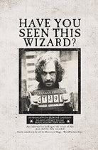 Set of three Harry Potter softcover pocket notebooks featuring wanted posters from the Insight Editions collection.