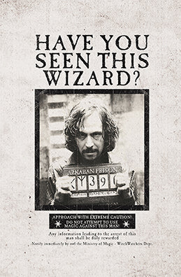 Set of three Harry Potter softcover pocket notebooks featuring wanted posters from the Insight Editions collection.