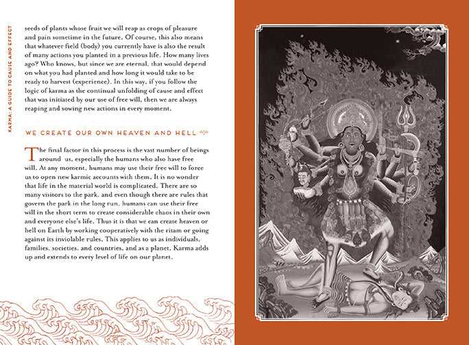 Insight Editions Karma softcover book with colorful cover art and title displayed.