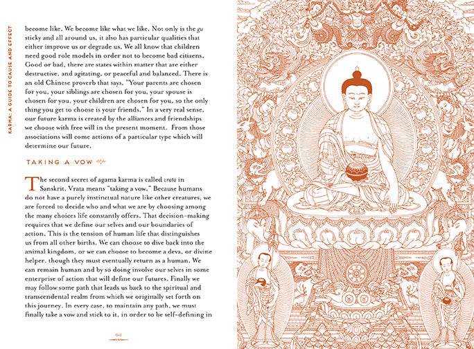 Insight Editions Karma softcover book with colorful cover art, featuring spiritual and mindfulness themes.