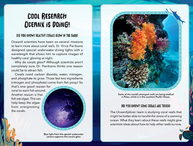 Softcover copy of "Mystery at the Aquarium" by Insight Editions, featuring a cover image of an underwater scene with marine life.