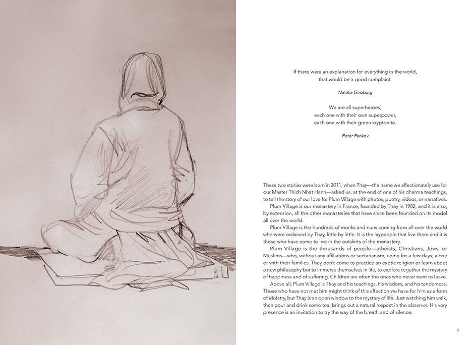 Softcover copy of "Plum Village: An Artist's Journey" by Insight Editions, featuring a peaceful, artistic cover design.