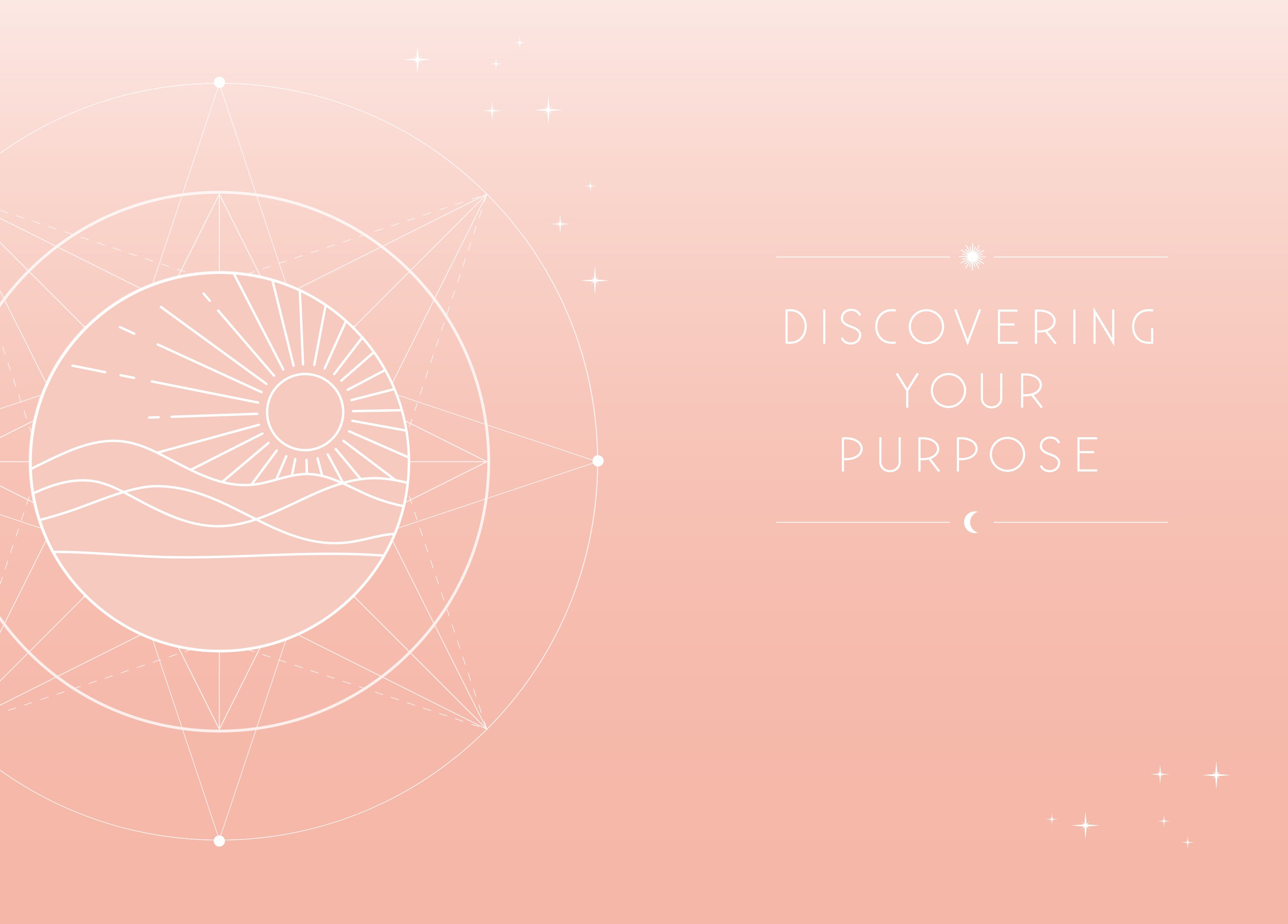 Insight Editions Purpose softcover book with minimalist cover design, featuring the title "Purpose" in elegant font.