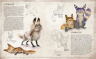 Softcover of Star Wars Bestiary, Vol. 1 by Insight Editions featuring detailed illustrations of Star Wars creatures and aliens.