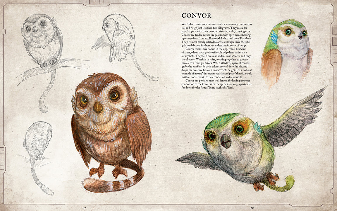 Softcover copy of Star Wars Bestiary Vol. 1 by Insight Editions, featuring detailed illustrations of Star Wars creatures and characters.
