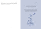 Softcover copy of The Mindful Traveler book by Insight Editions, featuring a calm, travel-themed cover design.