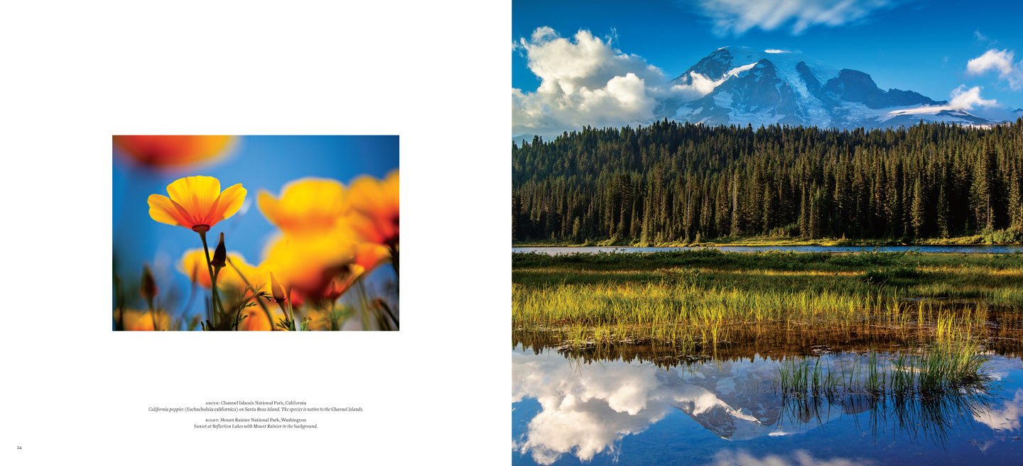 Softcover book titled "The National Parks" by Insight Editions featuring scenic national park photography.