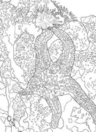 Softcover coloring book featuring National Parks postcards by Insight Editions, with scenic park images and postcard designs.