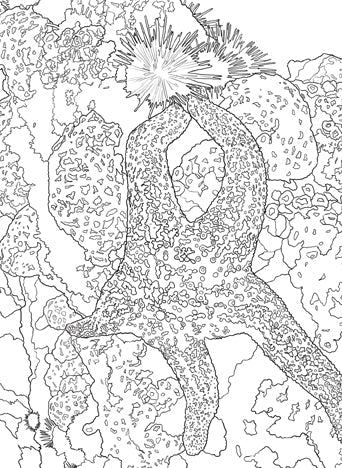 Softcover coloring book featuring National Parks postcards by Insight Editions, with scenic park images and postcard designs.
