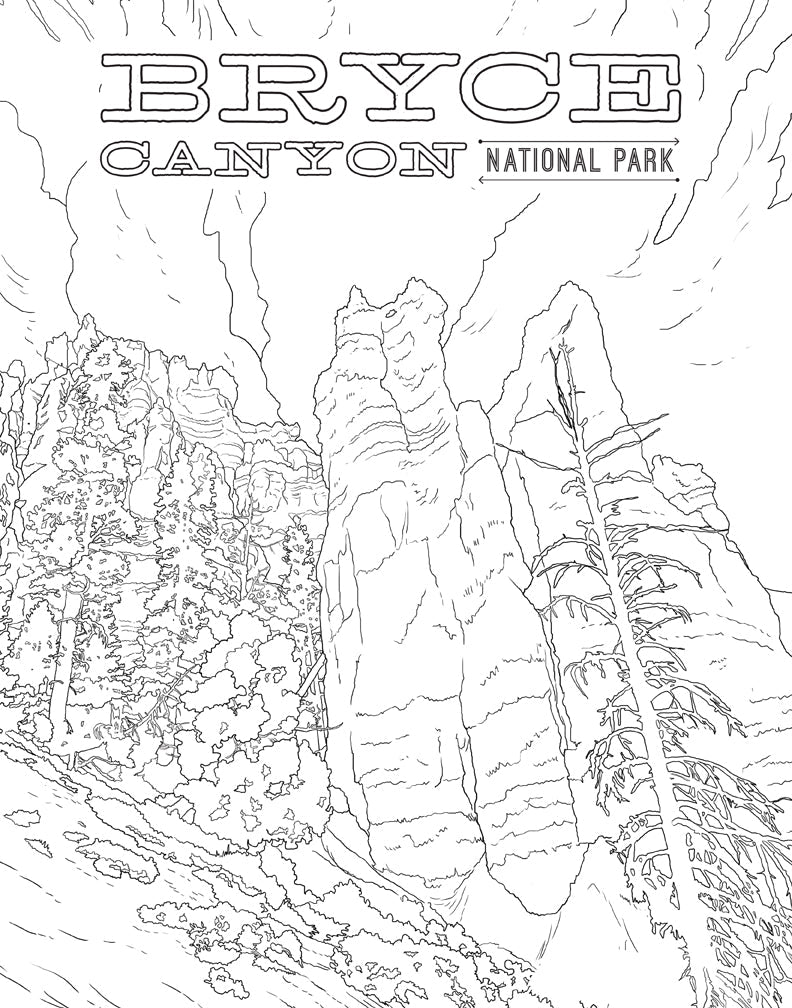 Softcover coloring book featuring national parks posters by Insight Editions, with outdoor landscapes and scenic illustrations.