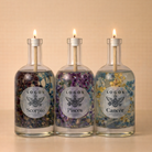 Logos Candles Water Trio bundle featuring three elemental water candles with decorative designs and soothing blue tones.