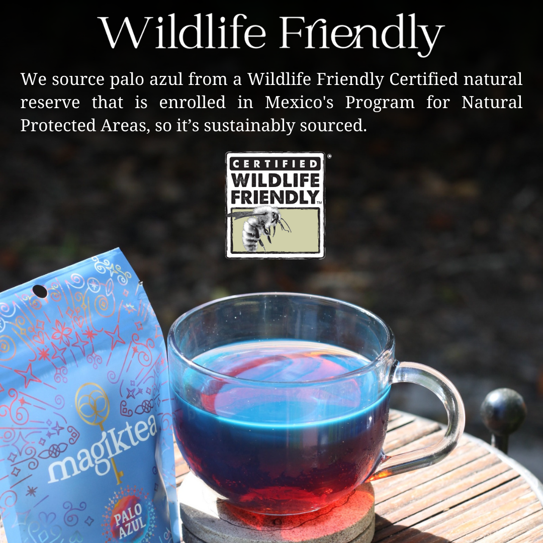 Magiktea Palo Azul tea bags, 15 plant-based USDA Organic tea bags with fresh Palo Azul leaves and herbs in a clear box